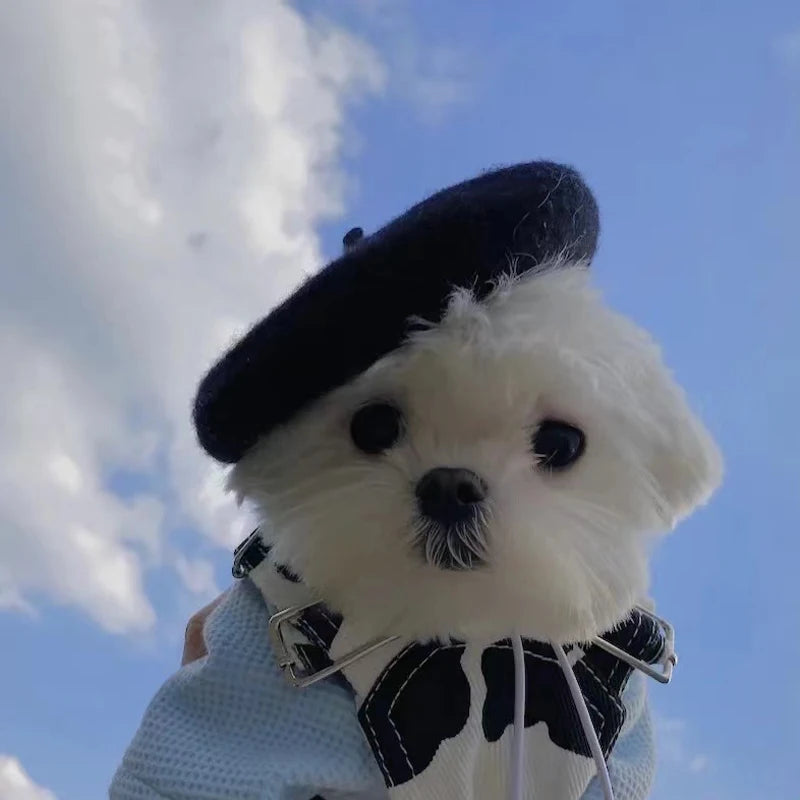 Pets Dog Hat Accessories Pets Grooming Dress Up Cap Cute Beret Mini Decorative Cat Headwear Puppy Painter Felt Hat